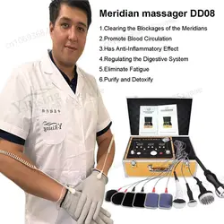 Physiotherapie-Instrument Bioenergie-Massagegerät Bioelektrischer Meridian Dredge Pulse Dds Bio-elektrisches Körpermassagegerät