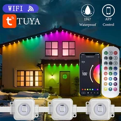 90LED Tuya Outdoor Permanent Eave Light 24V 2A RGB IC Waterproof Light Strip Suitable For Christmas Decoration Wreath