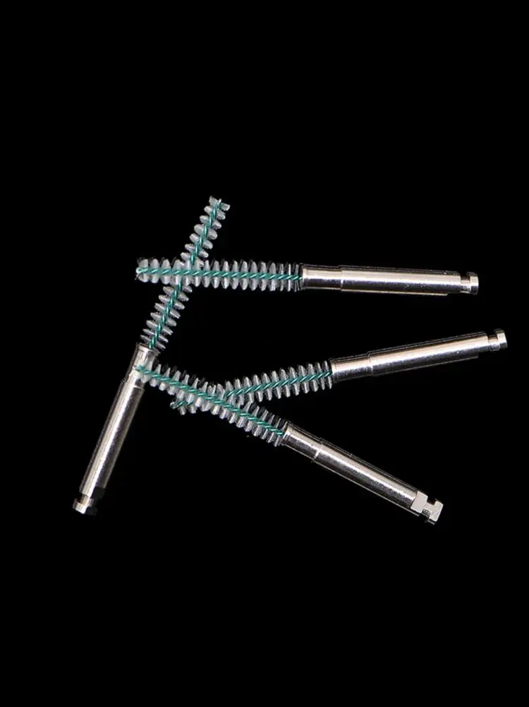 10pcs Dental lab Root canal Cleaning Brush Clean root canal of tooth Dental canal Brush Dentist Tools Dental Materials