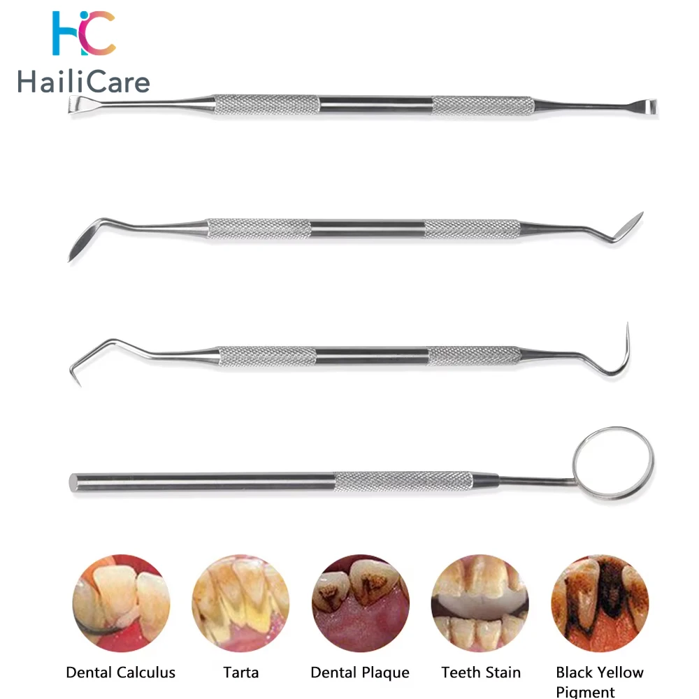 Stainless Steel Den…