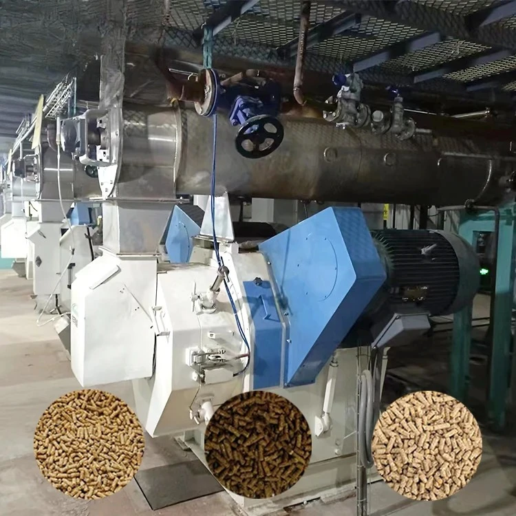 Poultry Feed Processing Machine Pellet Mill Machines Of Animal Feed Pellet Machine Cattle