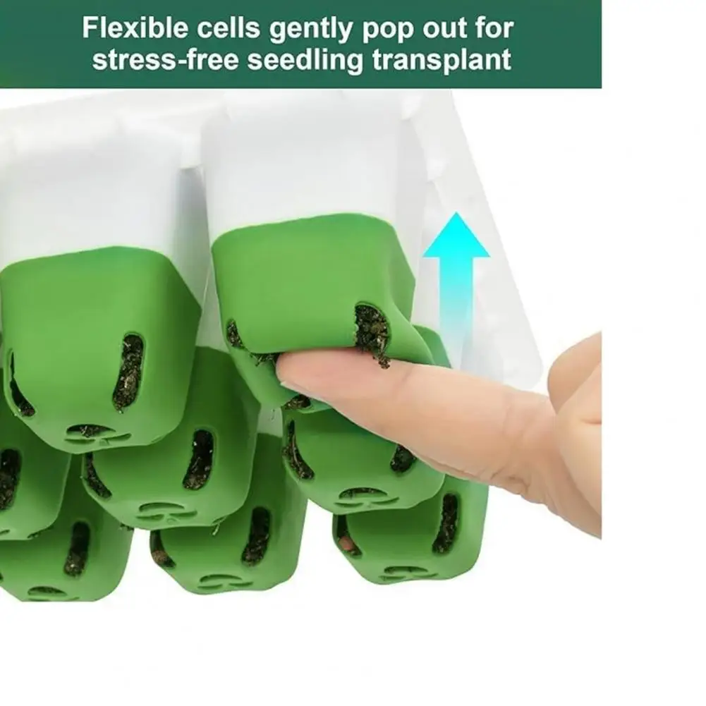 5Pcs Seeds Starter Trays 12-Cell Seedlings Trays Reusable Plant Germination Kit For Greenhouse And Garden Nursery Pots
