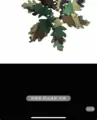 Woodland