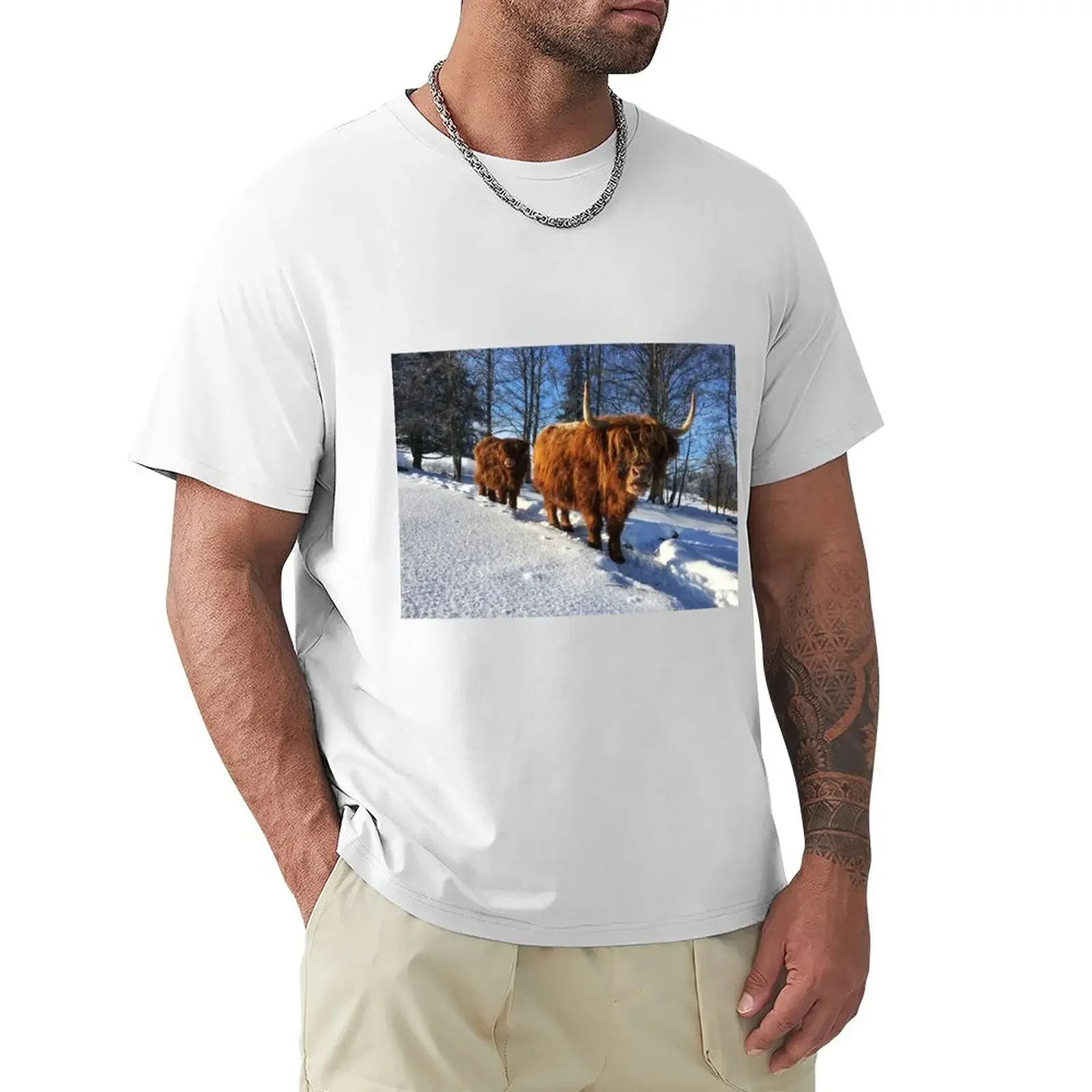 Scottish Highland Cattle Cow and Calf 1688 T-Shirt anime clothes boys whites designer t shirt men Cotton Luxury brand vintage