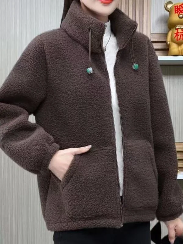 

plus Size Hoodie Thiened Lamb Fur Stand Collar Sweatirt Autumn Winter New Sle Loose Versatile Warm Outerwear for Heavy ...