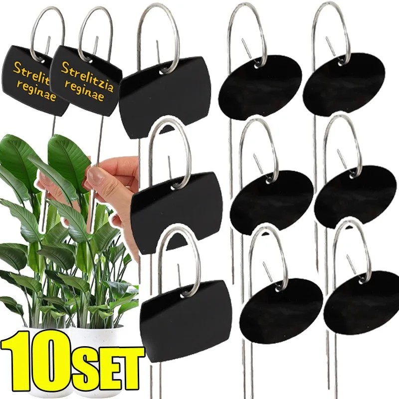 

Набор из 10 акриловых этикеток для растений с металлическим стержнем, для самостоятельной надписи, для маркировки семян и цветов, для втыкания в почву, универсальные.