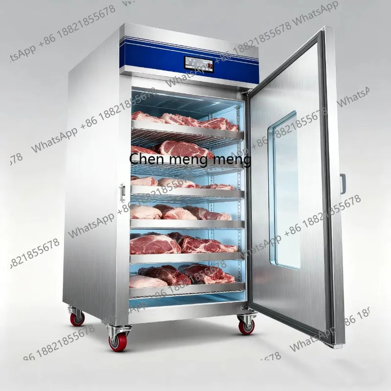 Commercial Thawing Cabinet High Voltage Electrostatic Low Temperature Refrigeration Large Capacity Antibacterial Thawing Machine