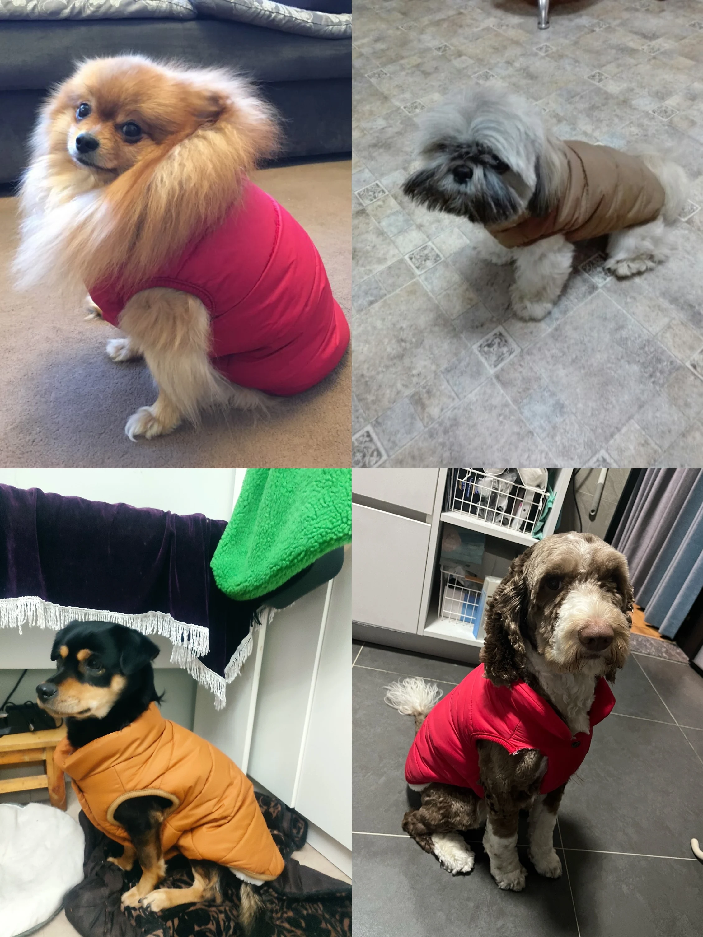 Winter Pet Coat Clothes for Dogs Winter Clothing Warm Dog Clothes for Small Dogs Christmas Big Dog Coat Winter Clothes Chihuahua