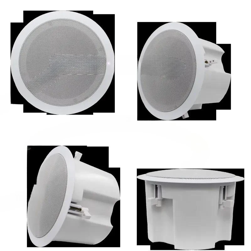 Professional 110V Ceiling Speaker 30W Public Broadcasting System for Hotel School Office Commercial Background Music