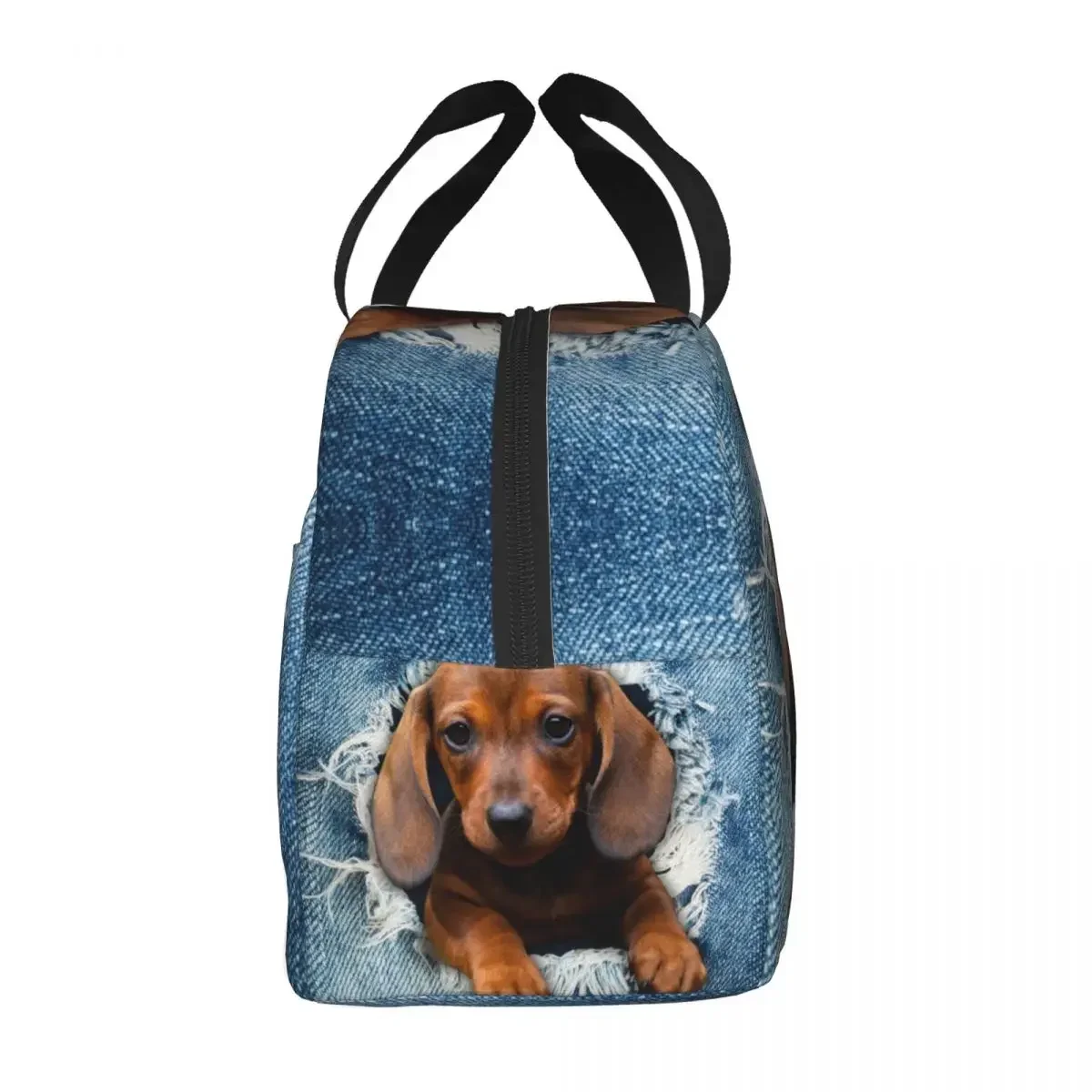 Dachshund Dog Torn Jean Insulated Lunch Tote Bag Wiener Badger Sausage Dog Resuable Thermal Cooler Food Lunch Box Work School