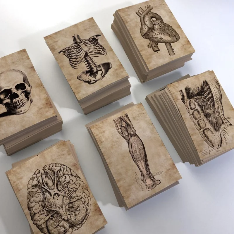 

56 ретро-наклеек с анатомией человека Ins Niche Notebook DIY водонепроницаемые наклейки