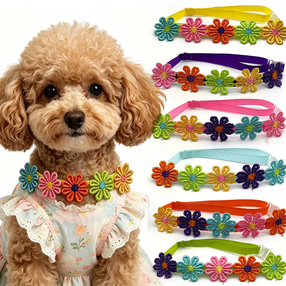 #63 Latest Pet Grooming Supplies Offers