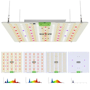 YUXINOU LEDグロウライト 240w YXO YUXINOU Official Store - Amazing products with exclusive