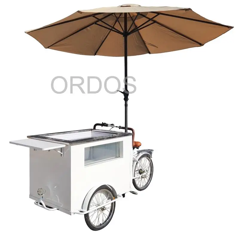 Outdoor Mobile Food Ice Cream Cart With Freezer Battery Powered Freezer Hot Dog Coffee Pizza Retail Mobile Mall Kiosk