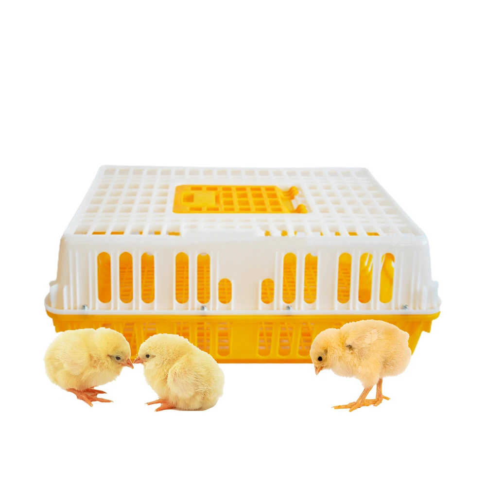 

Wholesale Poultry Crate Farm Chicken Duck Goose Turnover Box Packing Poultry Transport Cage