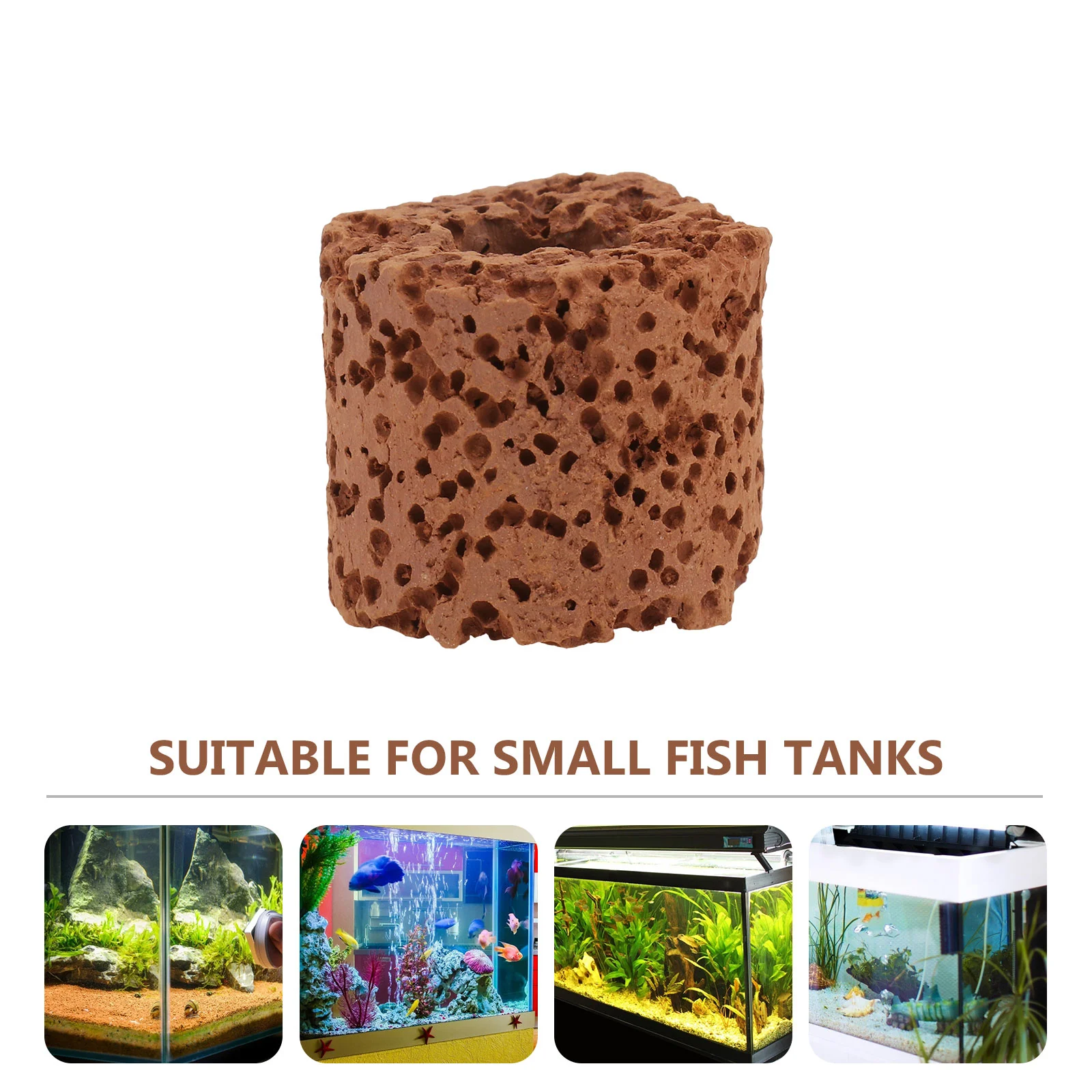 30 Pcs Accessories Aquatic Planting Ring Plants Holders Pottery Fish Tank Tool