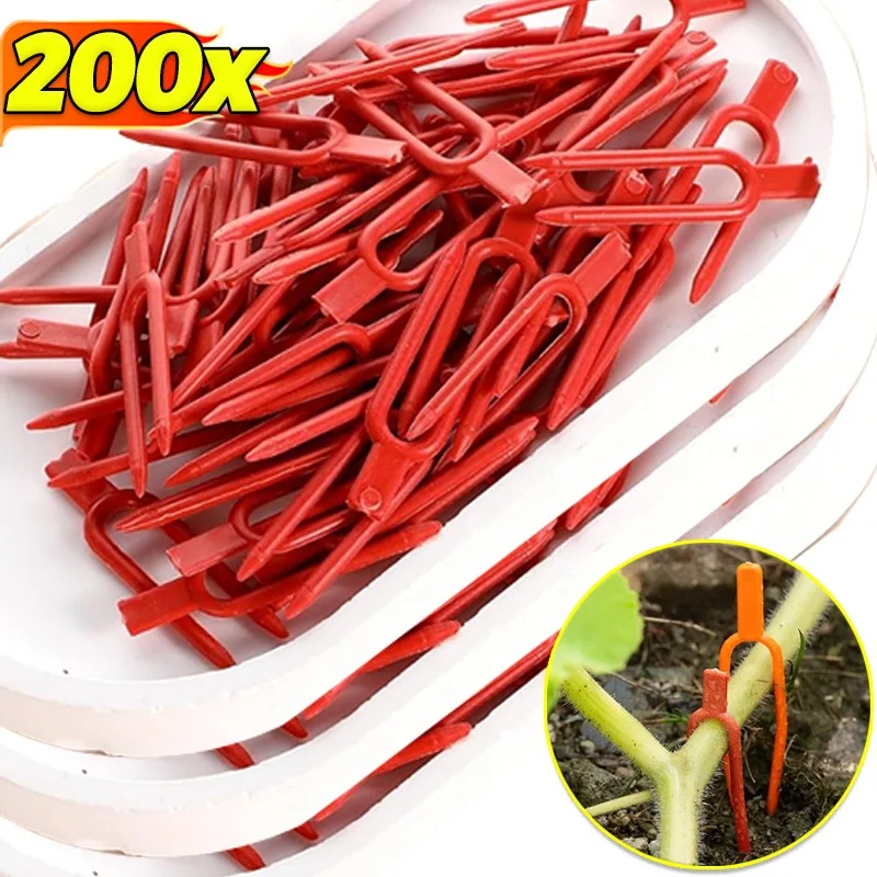 

Вилка для посадки клубники, устройство для прессования арбузной лозы, зажим для садовых растений, фиксатор стелони, зажим для фиксации растений, зажим для крепления