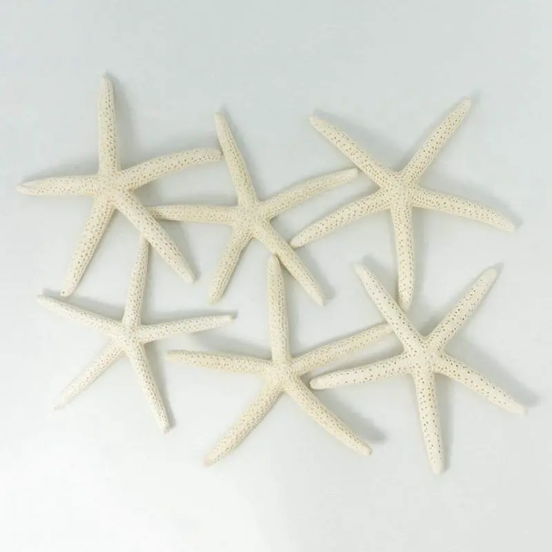 12PCS White Finger Starfish 5-10Cm Decorative Five-Finger Starfish