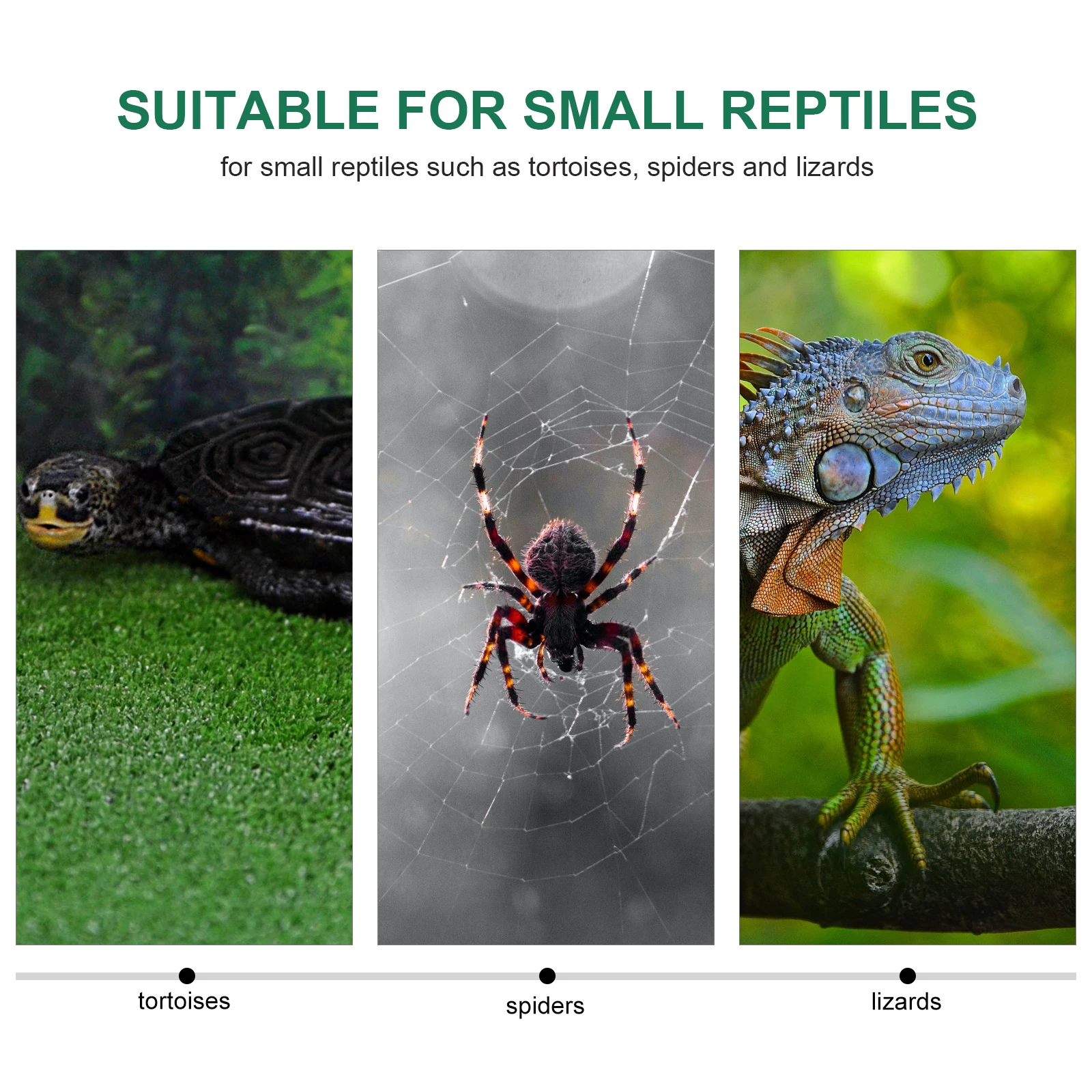 

100x40cm Reptile Waterproof Pad Durable Warm Mat for Small Pets Tortoise Spider Lizard Climbing Sleeping Green Color