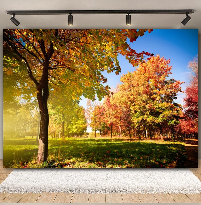 Autumn Forest Backdrop Fall Natural Scenery Mountains Lakes Maples Fallen Leaves Sunshine Kids Portrait Photography Background