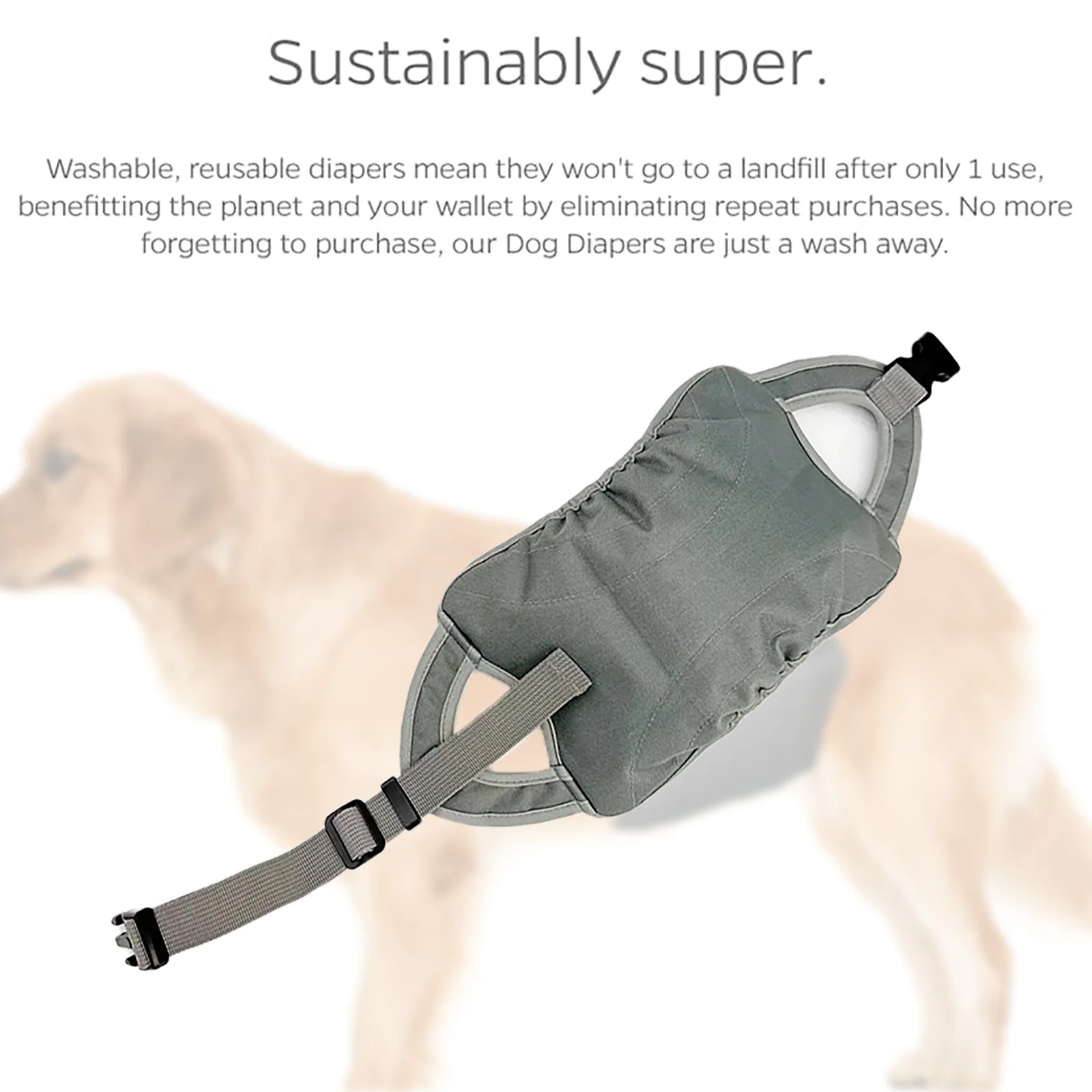 Male Dog Briefs Going Out Walking Dog Anti Harassment Adjustable Corgi Golden Retriever Politeness Shorts Breathable