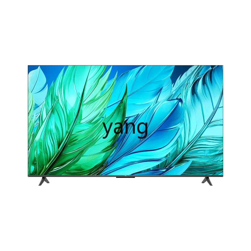 CX 65V69H 65 Zoll, Vollkanal 120 Hz Augenschutz