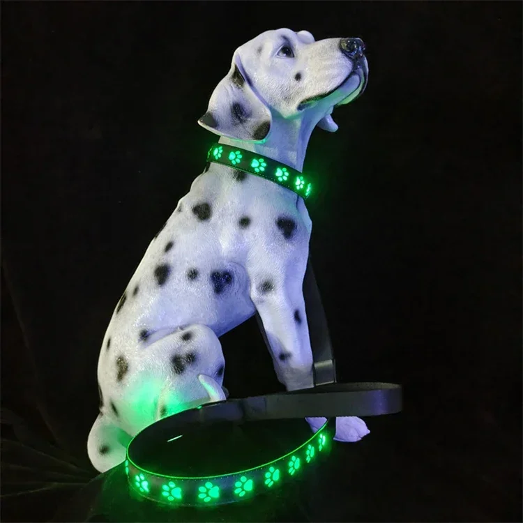 

Pet 7 Colour LED Light Up Collar and Leash Set Anti Lost USB Charging Outdoor Dog Walking Decorative Dog Collar