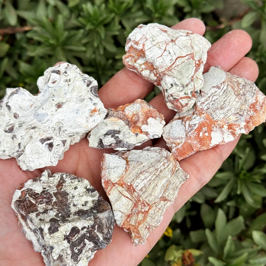 Natural Money Agate, Rough Eye Agate Mineral Specimen, Potted Plants, Aquarium Landscaping, Home Decor And Office Decoration,