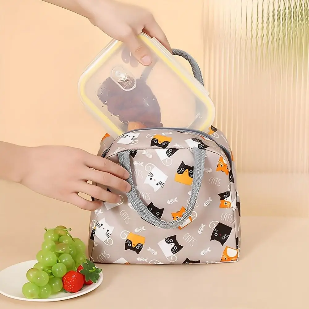 Reusable Lunch Bag for Women Large Capacity Small Insulated Cooler Lunch Container Leakproof Lunch Tote Bags