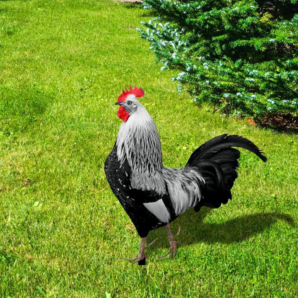 

2Pcs Acrylic Garden Chicken Stake Lifelike Pheasant Yard Decoration Outdoor Lawn Ornament Vivid Garden Accessory