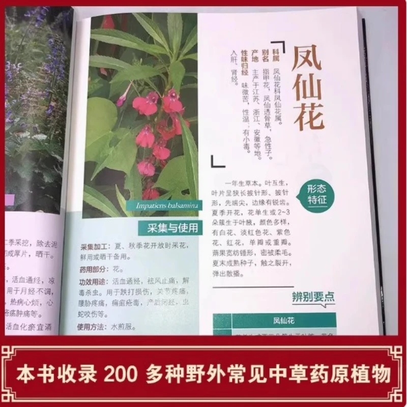 A Colorful Guide To Chinese Herbal Medicine, with Wonderful Combinations and Simple and Easy To Pick Herbs in The Wild