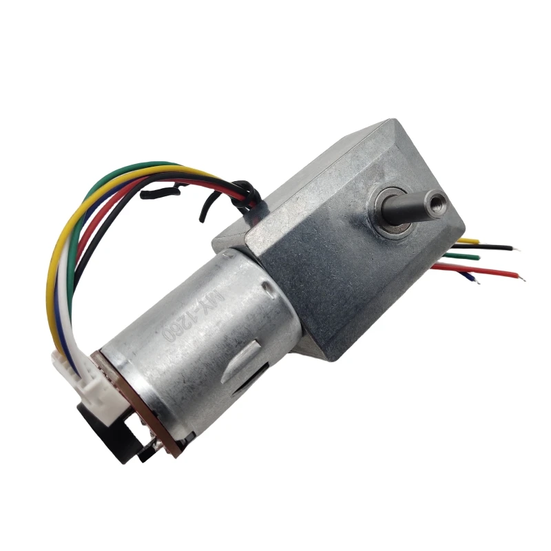 مايكرو تيار مستمر 6 فولت 12 فولت 24 فولت محرك معشق دودة مع جهاز تشفير القاعة سرعة منخفضة قابلة للتعديل سرعة وعمود إخراج مزدوج قابل للعكس #3