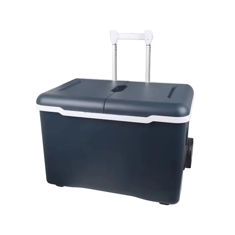 Ecootrunk الطاقة الشمسية 220 فولت التيار المتناوب تيار مستمر 12 فولت ثلاجة سيارة الفريزر للتخييم شاحنة RV قارب المدمج في البطارية