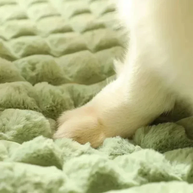 Cama para perros lavable a máq - Orthopedic Memory Foam Dog Bed Washable reseña y precio