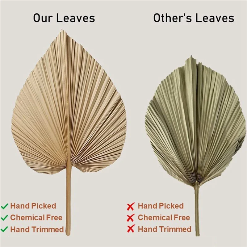 Unique! 4 Pieces Natural Dried Palm Leaves are Perfect for Palm Leaf Decor, Boho Decor, Home Decor, Wedding