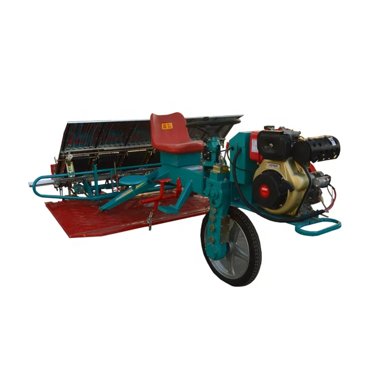Portable Mini Rice Transplanter Hand Push Rice Paddy Seeder Machine for Home Use Farms & Retail Featuring Durable Bearings