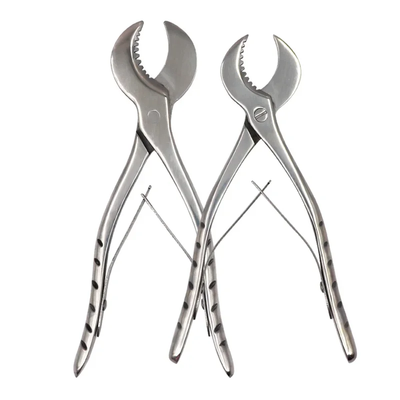 2Size Dental Plaster Scissors Gypsum Scissors Dentistry Material Plaster Cutter Stainless Steel Dental Lab Equipment