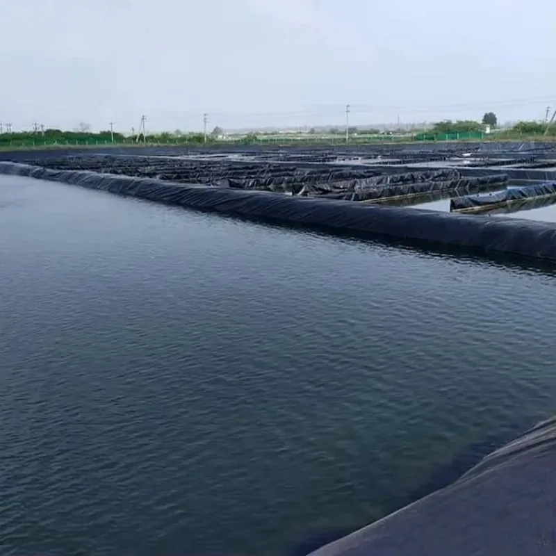 Customized HDPE Geomembrane Anti Seepage Liner for Dam Pond Landfill Mining Wastewater and Water Storage Projects