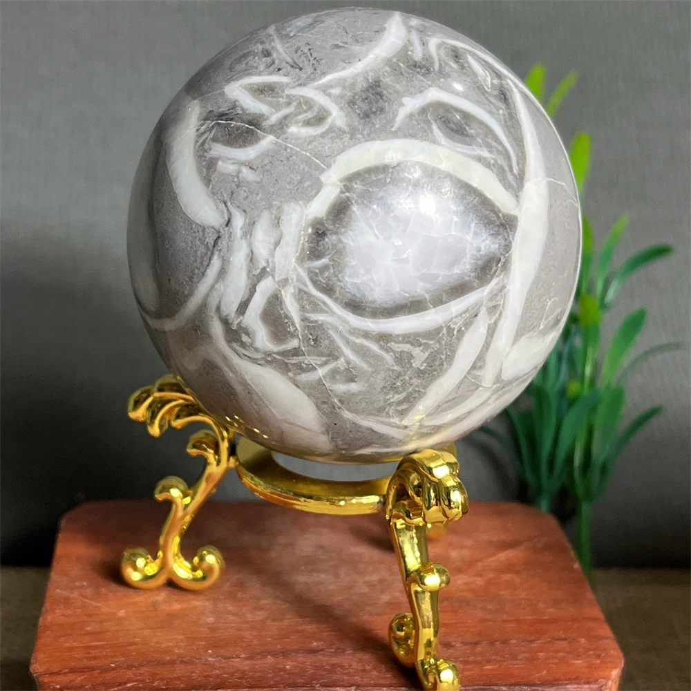 Shell Conch Sphere Ball Natural Crystal Specimen Feng Shui Reiki Healing Gem Stone Quartz Minerals Energy Home Decoration+Stand