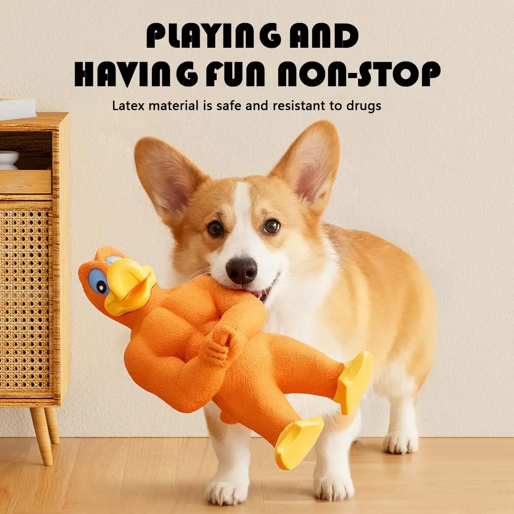 ألعاب كمال الأجسام من اللاتكس الصار - لعبة مضغ ممتعة وترفيهية ذاتية للكلاب المتوسطة والكبيرة