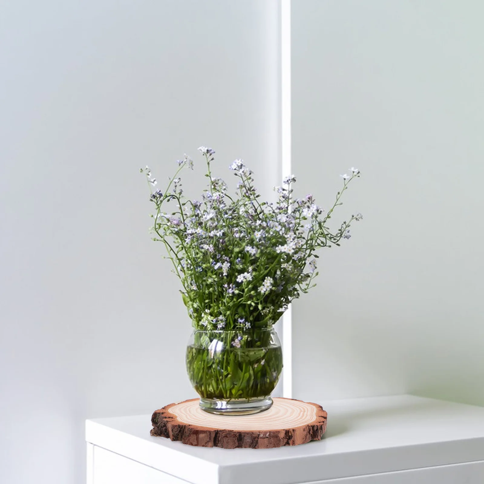 

2Pcs Unfinished Rustic Natural Wood Bark Slices Round Discs 18-20cm for DIY Crafts Table Centerpieces Wedding Ornaments