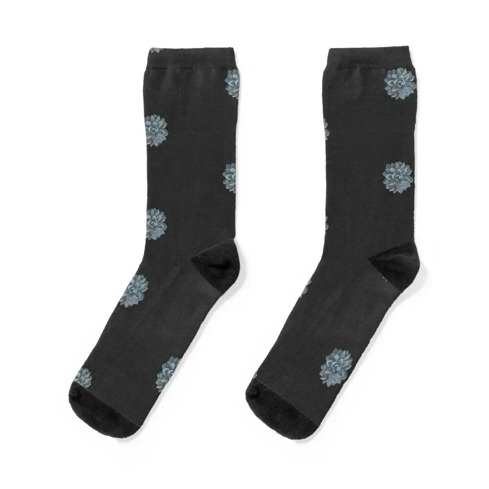 

Succulent On Dark Grey. Colored pencils drawing. Socks kawaii luxury Socks Female Men's