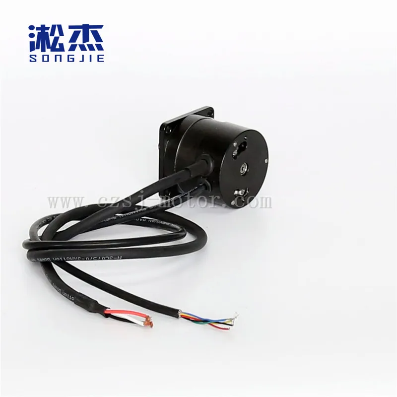 57mm 맞춤형 35w 3000rpm 신형 소형 3상 24v 4극 BLDC 모터 브러시리스 모터
