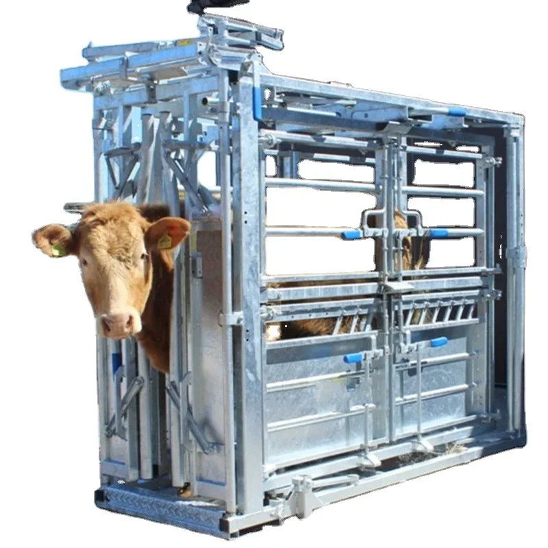 High Quality Heavy Duty Cattle Crush with Weighing Scale Trimming Portable Cattle Squeeze Crusher