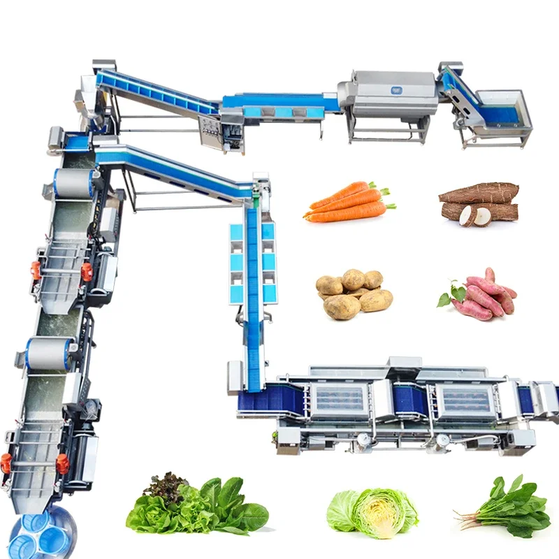 Full Automatic Industrial Clean Root Leafy Vegetable Washing Processing Line/Frozen Fruit Vegetable Production Line