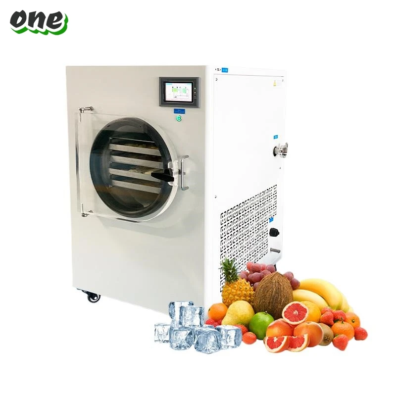 Industrial Dry Machine Vacuum Liofilizador Freeze Dryer Price List Egg