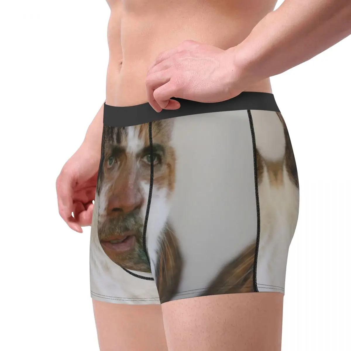 Nicholas Cage Cat Meme Boxer Shorts For Homme 3D Printed Underwear Panties Briefs Stretch Underpants