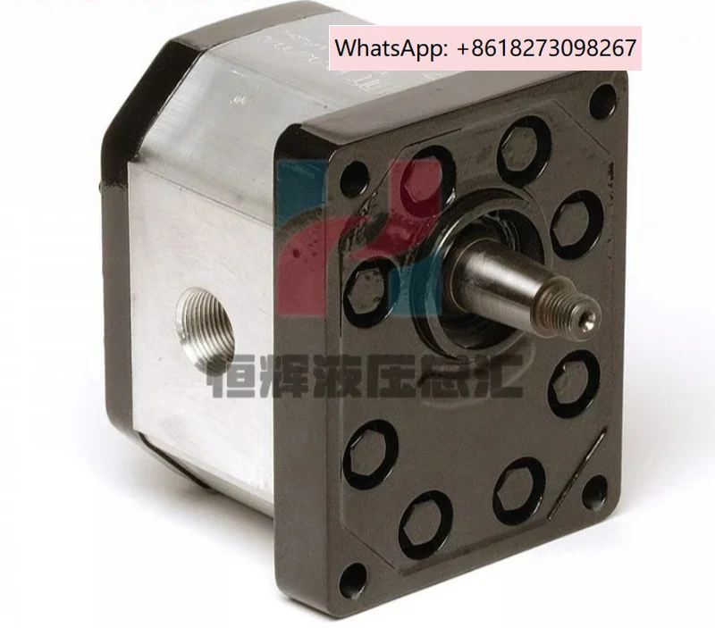 Gear Pump OT300-GR3…