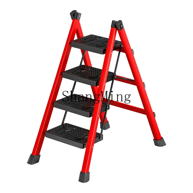 Dsa Home Ladder Fol…