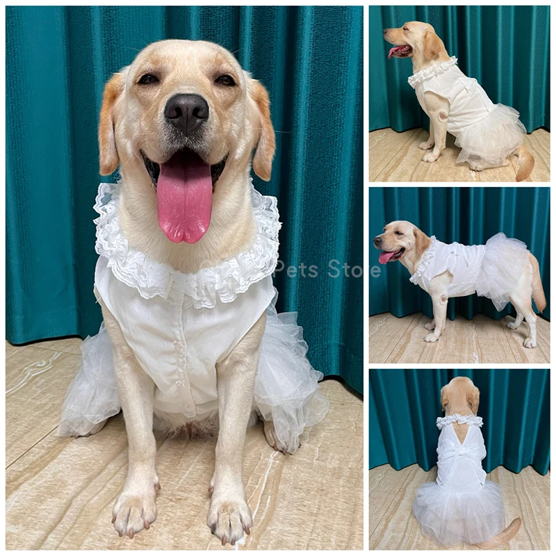 Imagem -02 - Vestido de Noiva Branco Chiffon para Cães Grandes Vestidos Grande Dog Roupa Labrador Golden Retriever Roupa Husky Verão